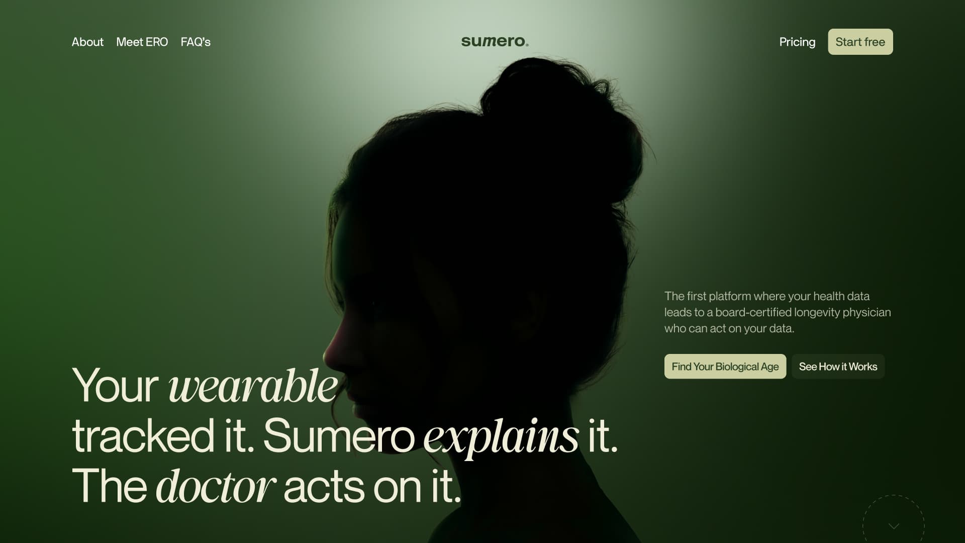 Sumero